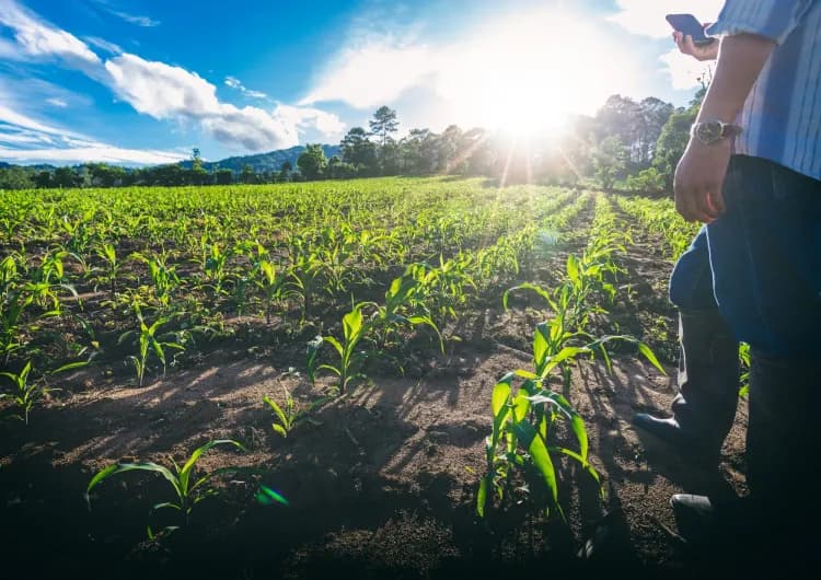 Tout savoir sur la spécialité  Ecologie - Agronomie et Territoire