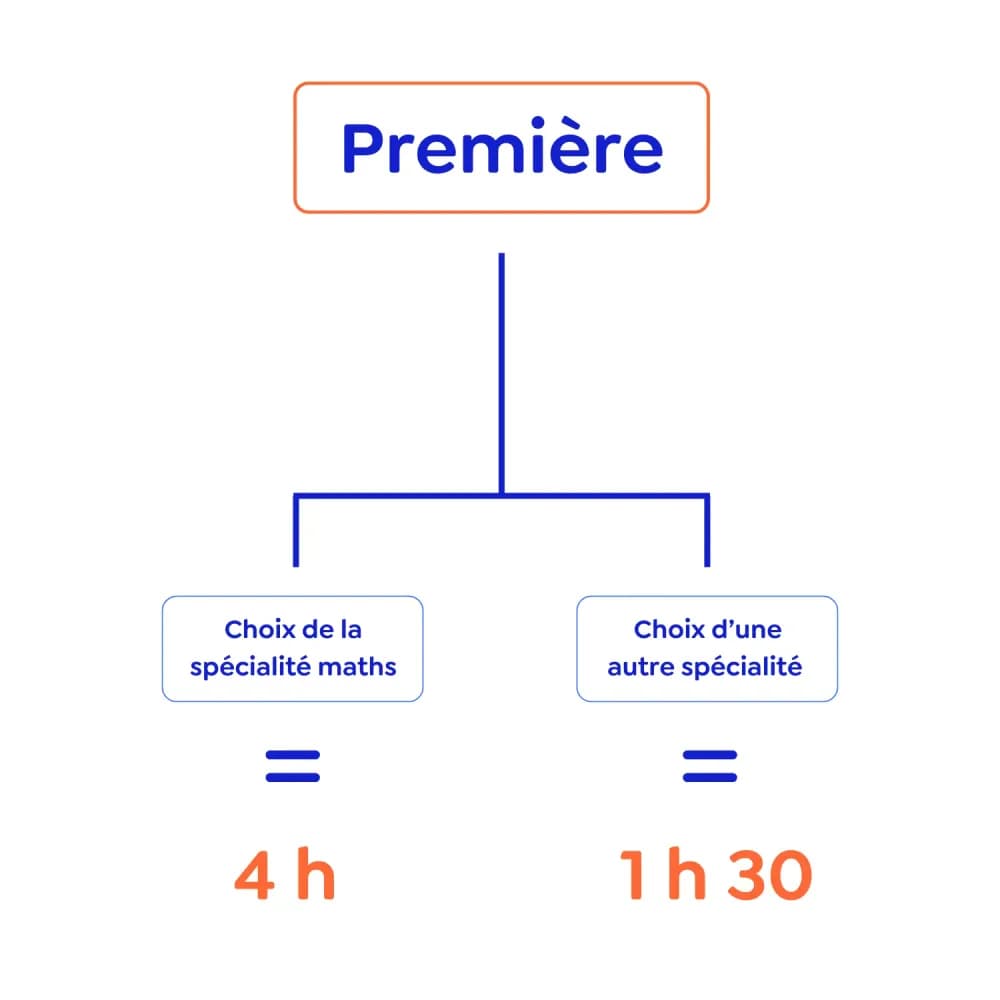 Nombre d'heures en première pour tout savoir sur la spécialité Mathématiques