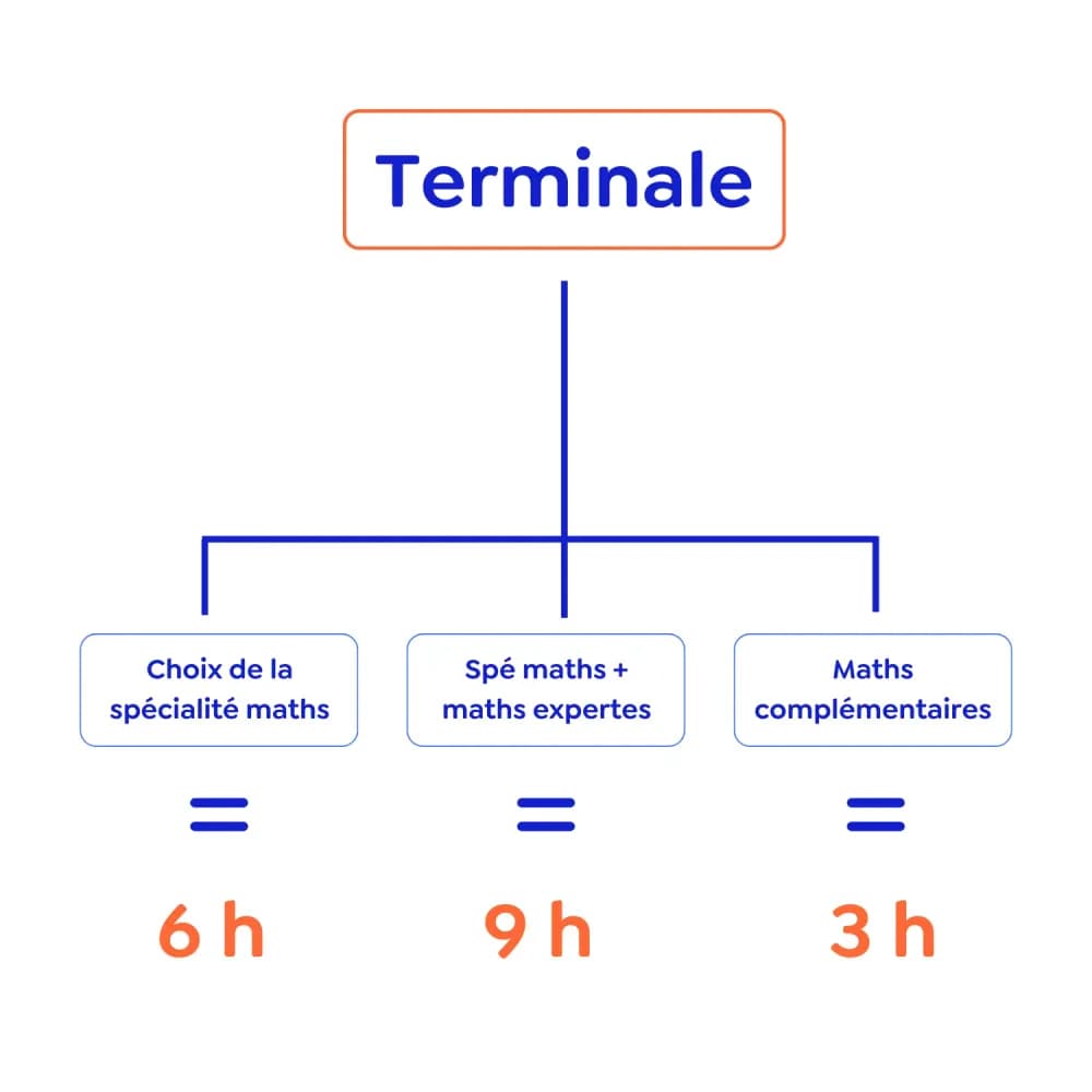 Nombre d'heures en terminale pour tout savoir sur la spécialité Mathématiques