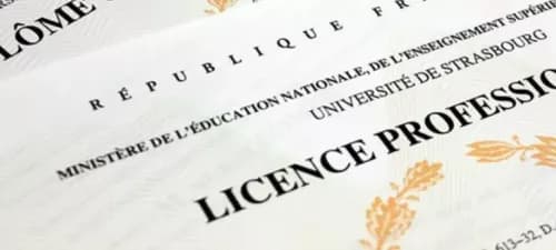 étudiante qui cherche à tout savoir sur les licences professionnelles pour en intégrer une